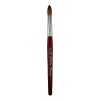Z Brushes - Kolinsky – Acrylic Wood Handle 11 Z Brushes Kolinsky – Acrylic Wood Handle size 18 Jkiocean 9