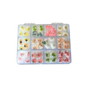 10 Daisy Flowers jkiocean