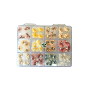 12 Daisy Flowers jkiocean