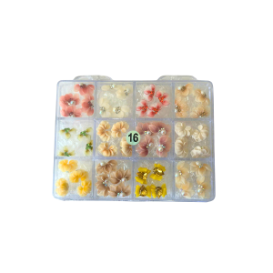 16 Daisy Flowers jkiocean