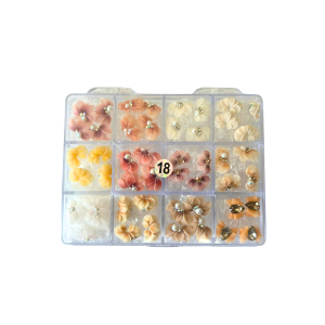 18 Daisy Flowers jkiocean