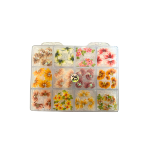 25 Daisy Flowers jkiocean