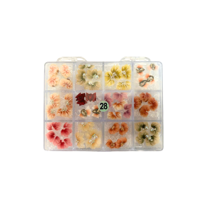 28 Daisy Flowers jkiocean