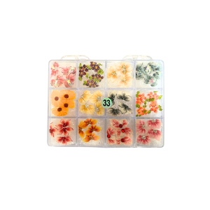 33 Daisy Flowers jkiocean