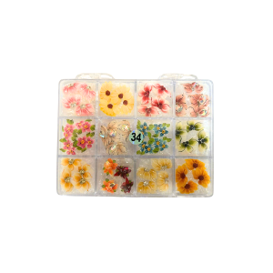 34 Daisy Flowers jkiocean