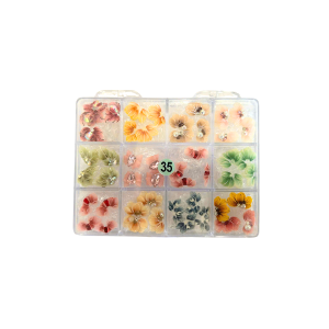 35 Daisy Flowers jkiocean